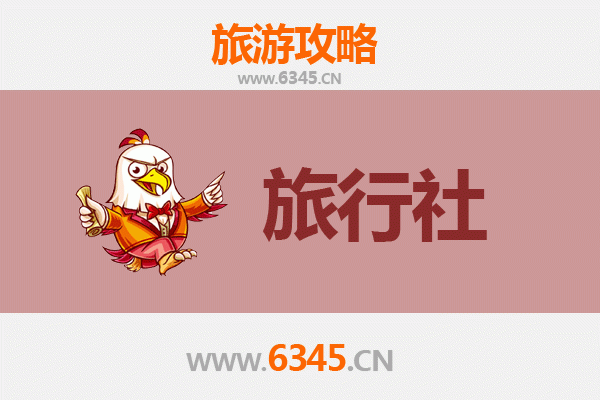 自贡大安本地旅行社推荐：探索盐都文化与恐龙奇观的完美向导