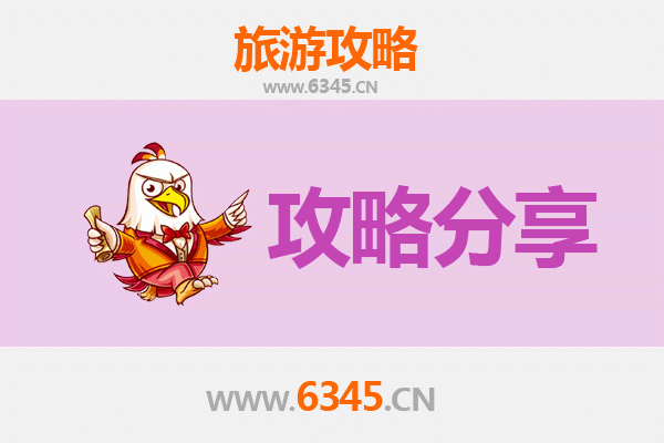 自贡大安旅游攻略：跟团与自由行全方位对比