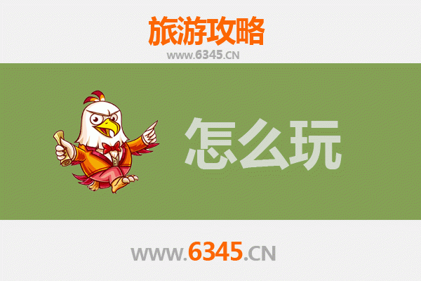 节假日自贡大安深度游：恐龙奇观、彩灯盛宴与盐都文化全攻略