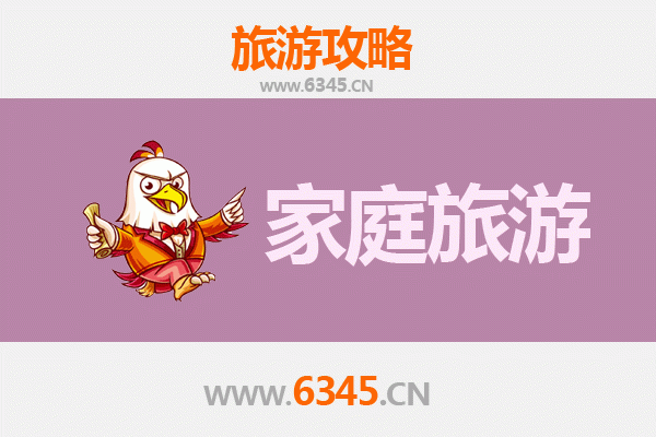 自贡大安家庭亲子游：恐龙探秘与彩灯奇缘之旅